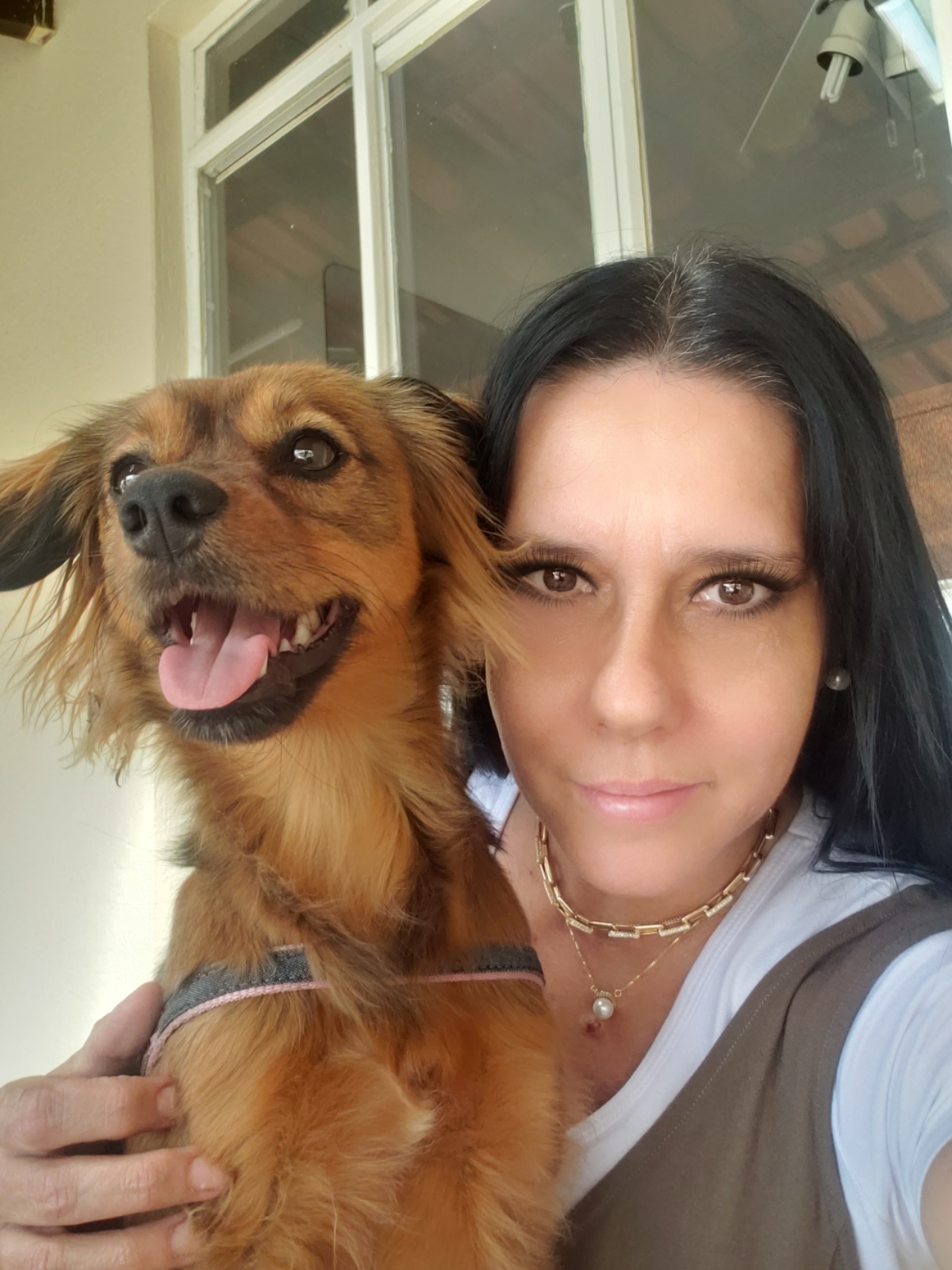 Ana Bittar é a nova colunista com o veículo de comunicação “Harmonia do Pets”