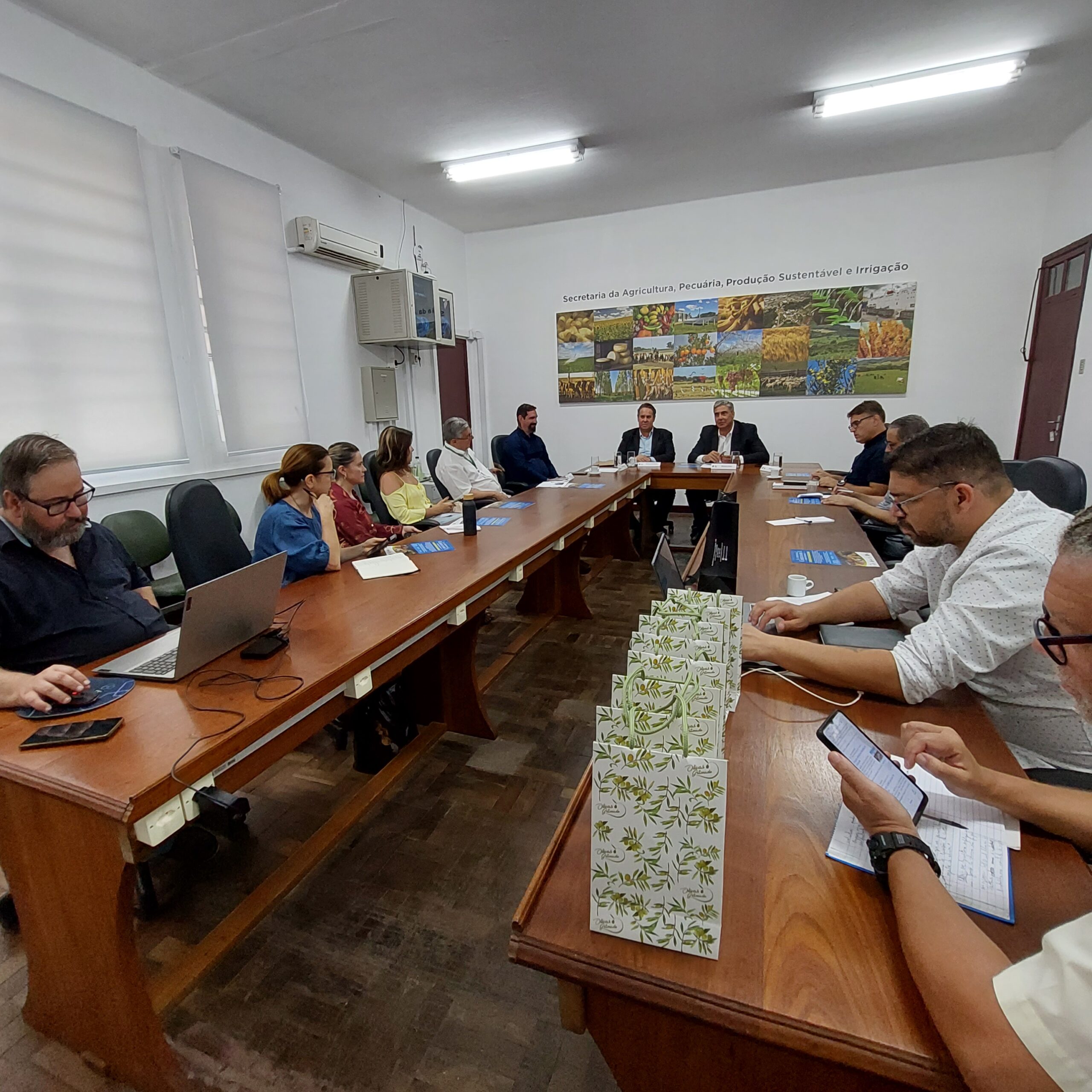 Autoridades do setor convidam o governador para Abertura da Colheita da Oliva no RS e participam de coletiva