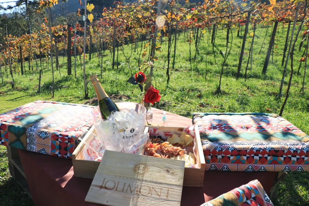 Piquenique de Dia dos Namorados da Vinicola Jolimont