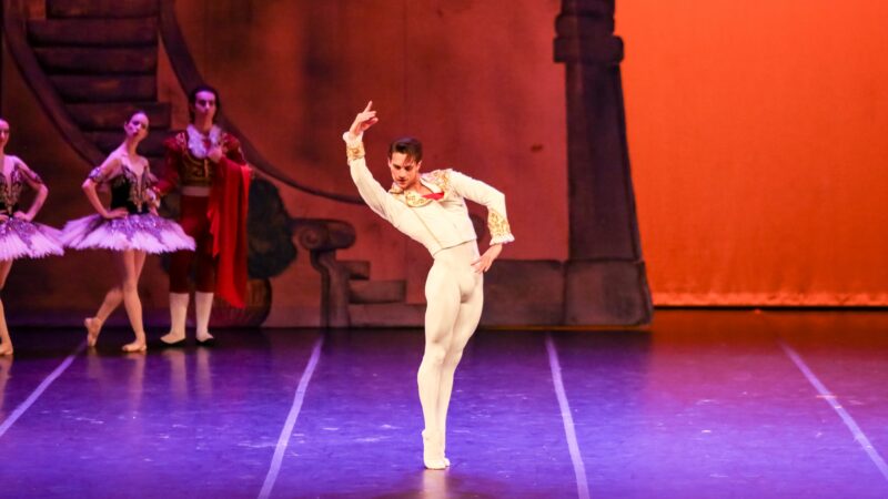 Ballet Vera Bublitz leva Dom Quixote para o Theatro São Pedro