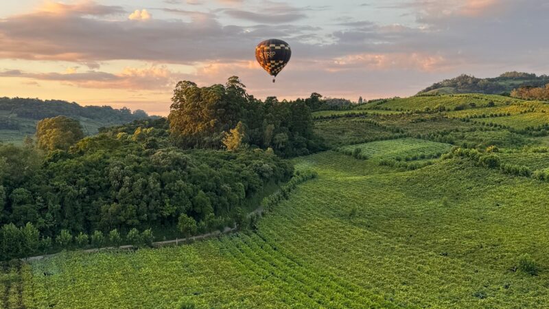 Voo de Balão sobre o Vale dos Vinhedos