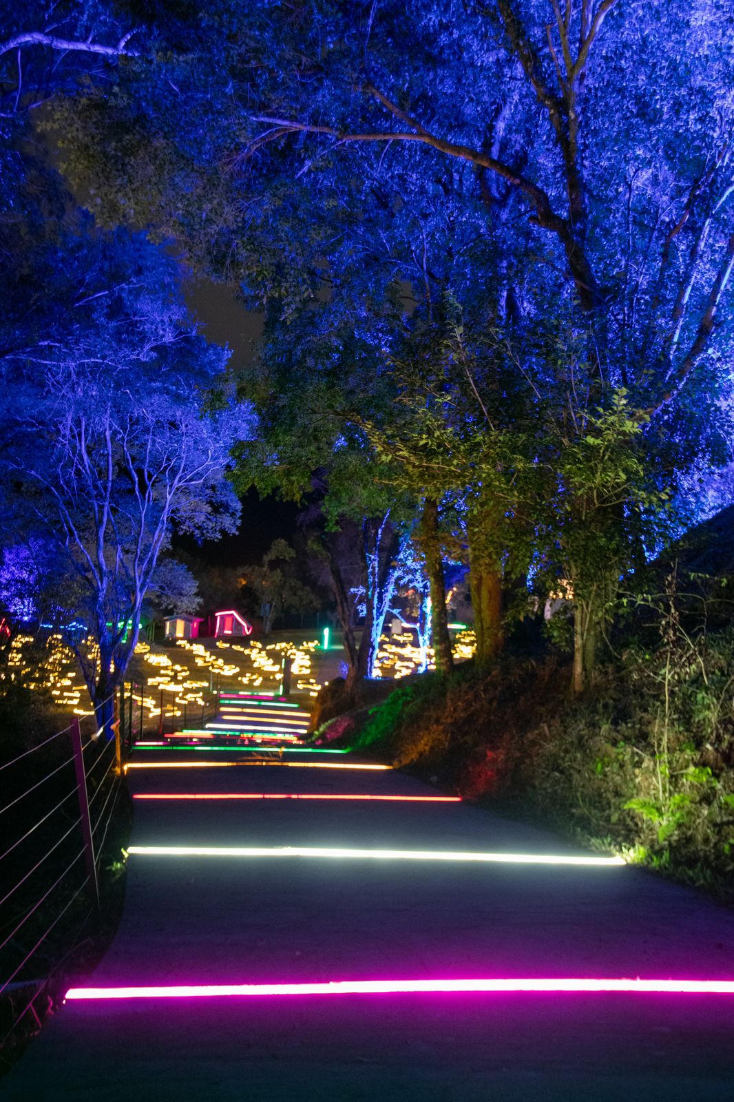 Semana dos Namorados no Parque de Luzes Lumni Gramado, um encanto de amor e magia