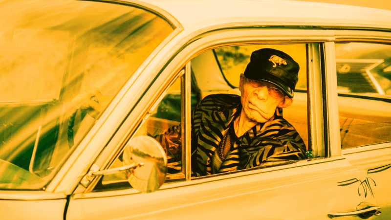 Artistas internacionais e nacionais fazem shows gratuitos no Dia Municipal do Reggae. Evento acontece no Parque do Trote dias 26 e 27 de julho