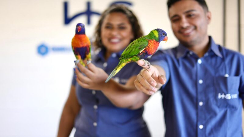 No mercado pet desde 2023, DNE Diagnósticos Nordeste humaniza ambiente de trabalho com a presença de animais de estimação