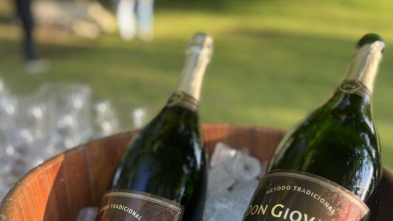 Vinícola Don Giovanni é premiada em 2025 na Itália e lança rótulo especial no final de ano