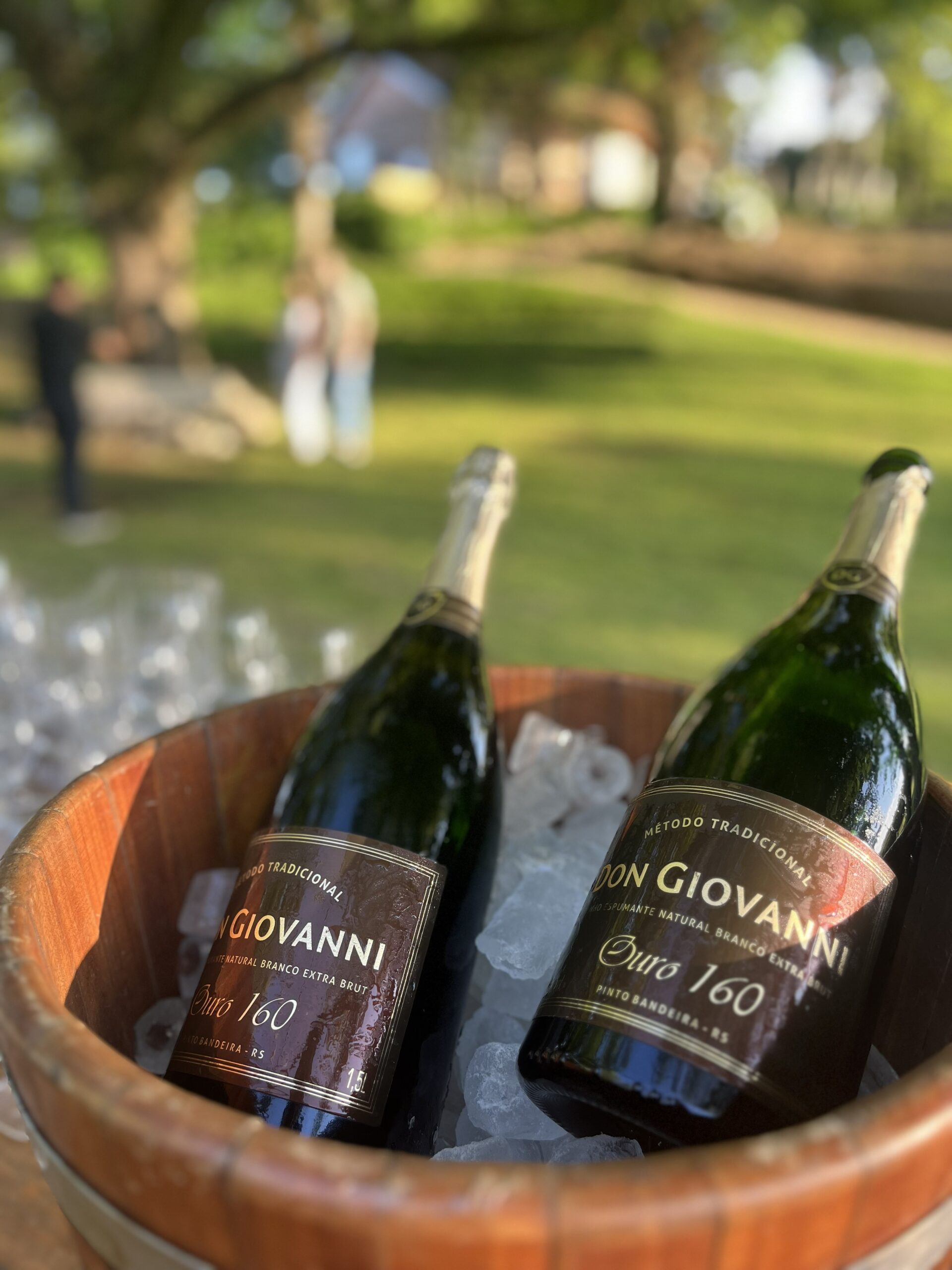 Vinícola Don Giovanni é premiada em 2025 na Itália e lança rótulo especial no final de ano