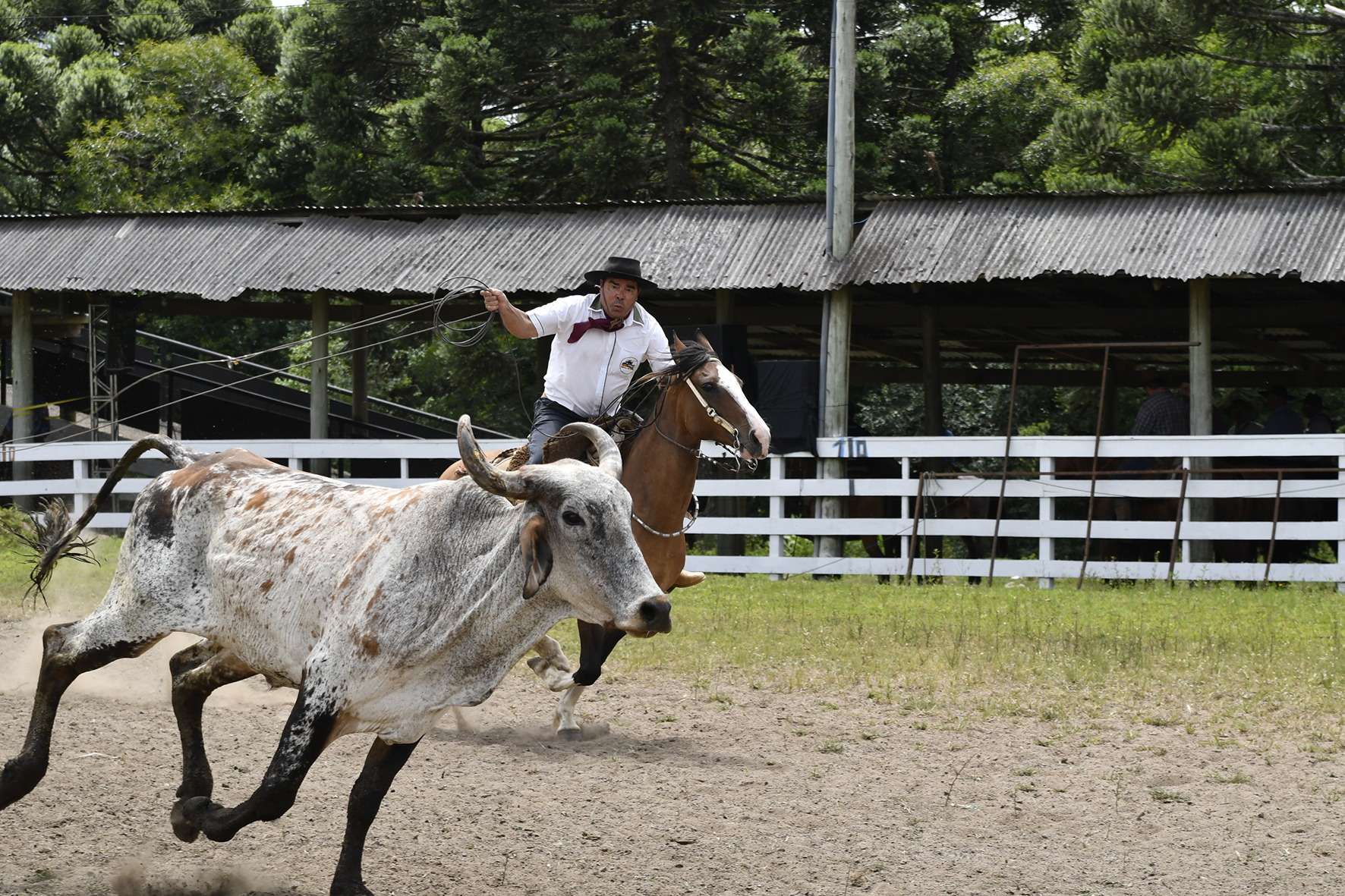 É tempo de rodeio em Canela