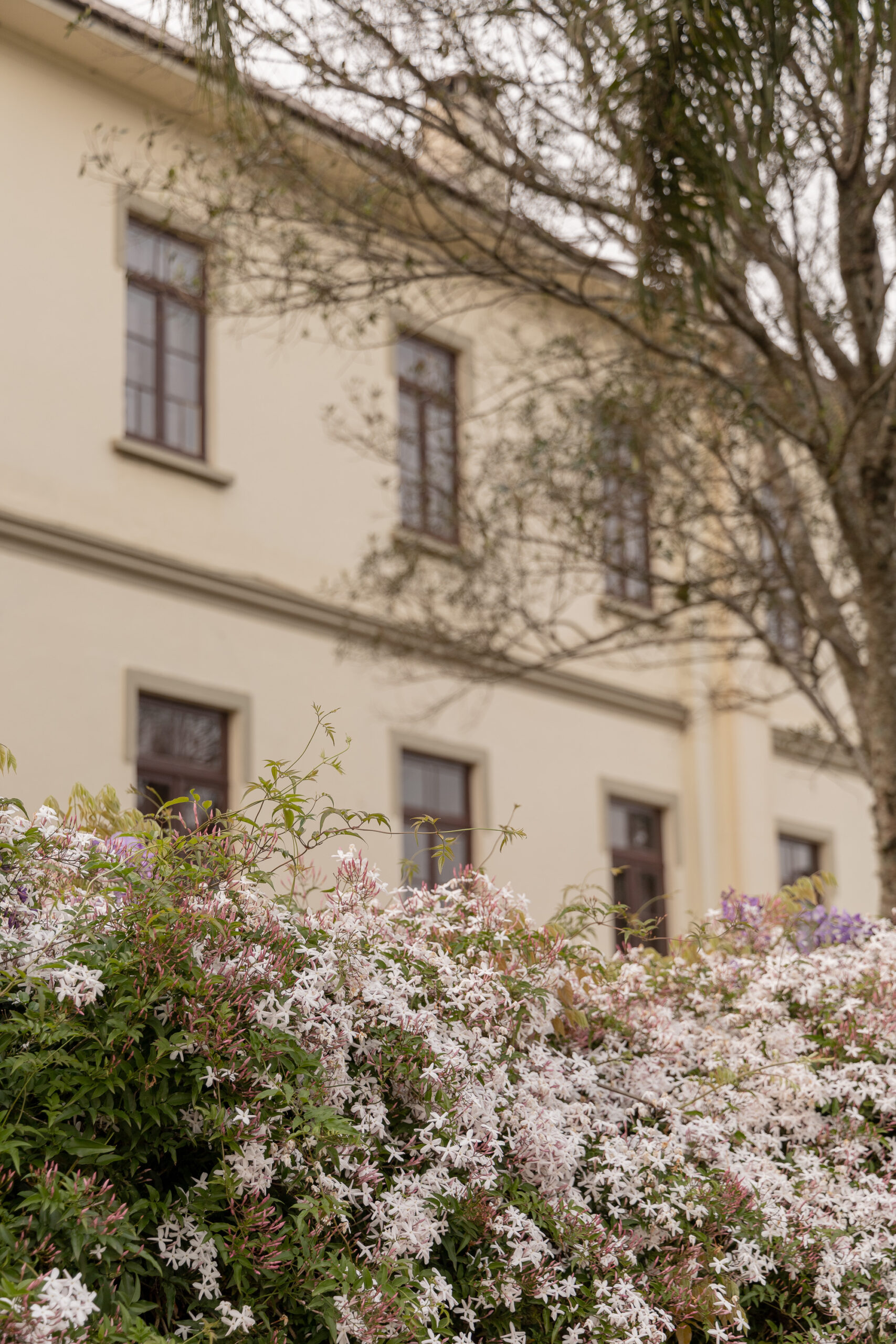 Feriadão de carnaval na Vinícola Don Giovanni