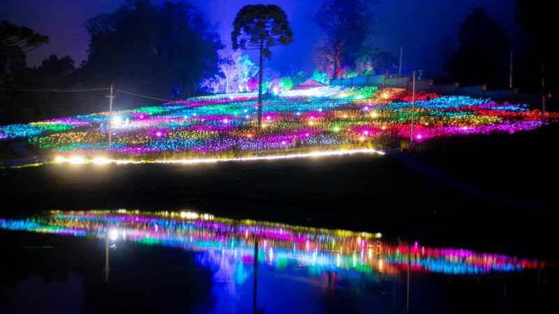 Lumni Experience realiza o primeiro “Luau das Estrelas by Parksnet” em Gramado