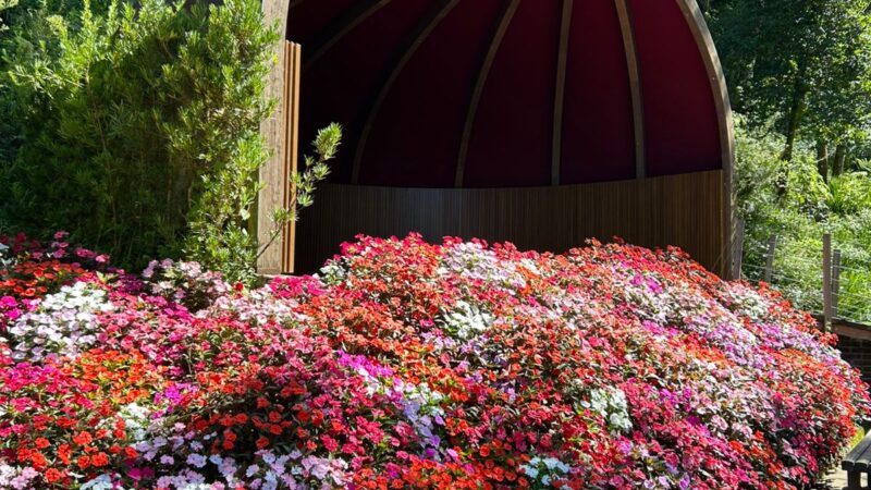 Verão na Serra: Descubra o Garden Park Gramado com a Brocker Turismo