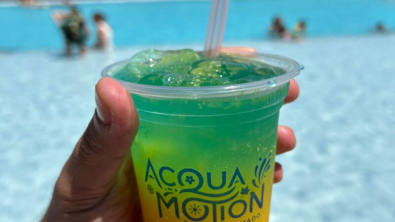 Verão na Serra: Mergulhe no Acquamotion em Gramado