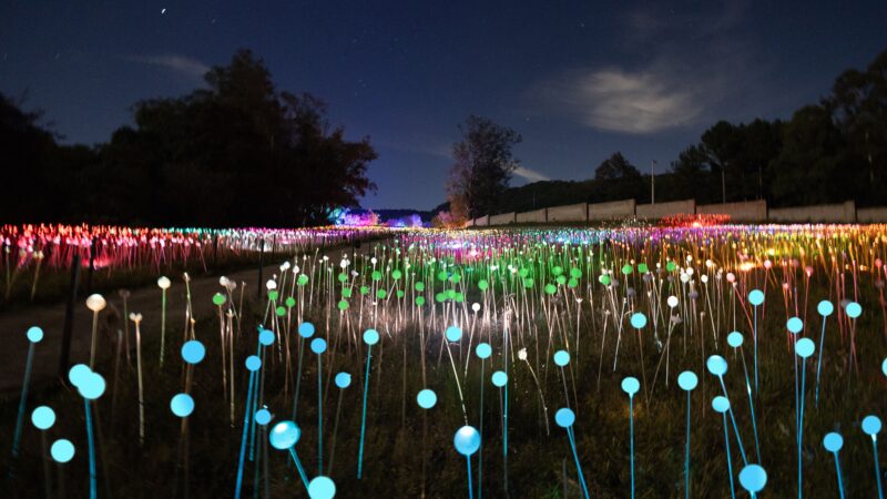 Lumni Experience promove, sábado, primeiro Luau das Estrelas em Gramado com música ao vivo e contemplação do céu