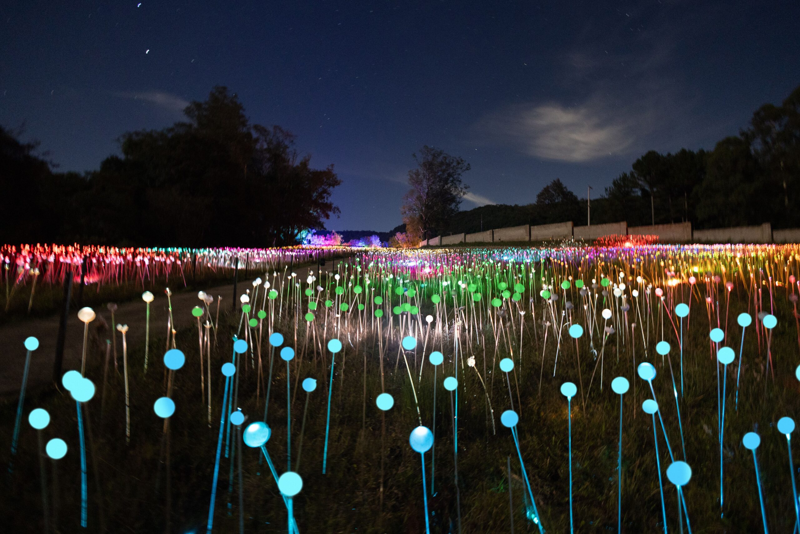 Lumni Experience promove, sábado, primeiro Luau das Estrelas em Gramado com música ao vivo e contemplação do céu