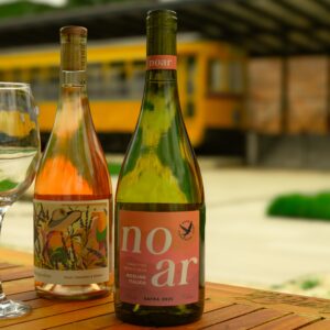 LolaMAC chega ao jardim do MAC RS e passa a integrar a experiência de visita ao Museu