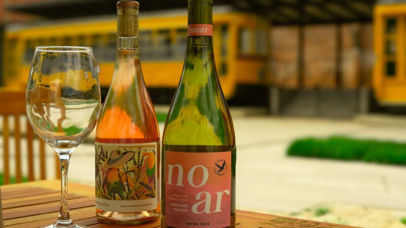 LolaMAC chega ao jardim do MAC RS e passa a integrar a experiência de visita ao Museu