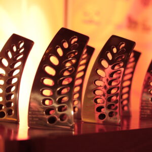 Festival Santa Cruz de Cinema bate recorde de produções inscritas