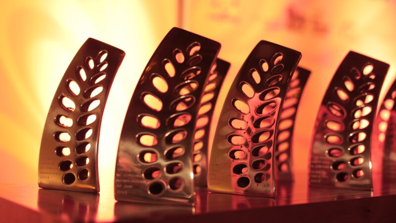 Festival Santa Cruz de Cinema bate recorde de produções inscritas