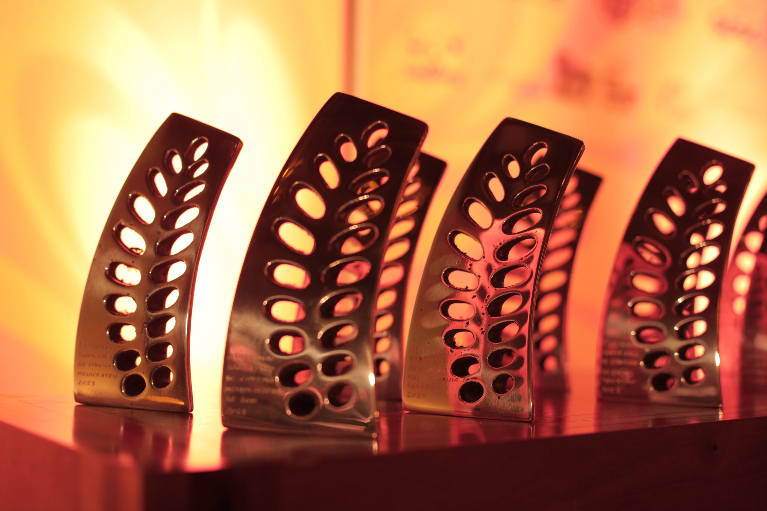 Festival Santa Cruz de Cinema bate recorde de produções inscritas