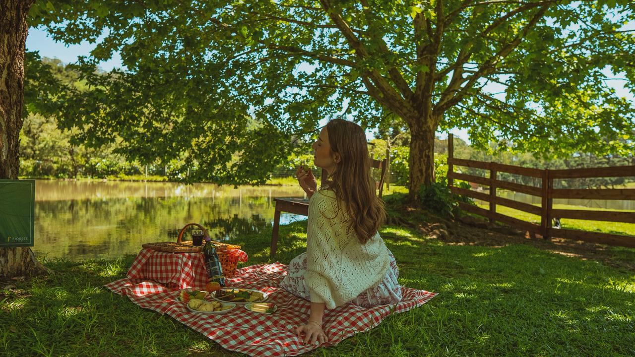 “Refúgio Fioreze” propõe vivência no campo durante as manhãs na Serra Gaúcha