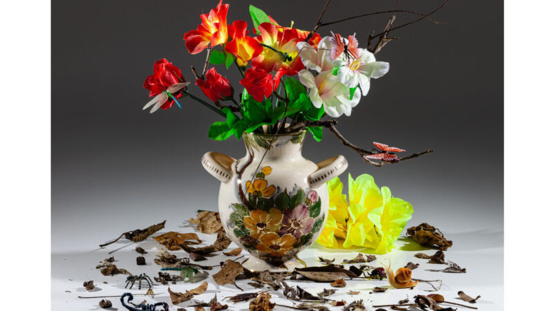 Museu de Arte Contemporânea do RS aproxima público do colecionismo de arte em duas exposições na CCMQ