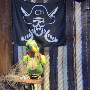 Aventura pirata: Cara de Mau investe em tecnologia e apresenta novos personagens