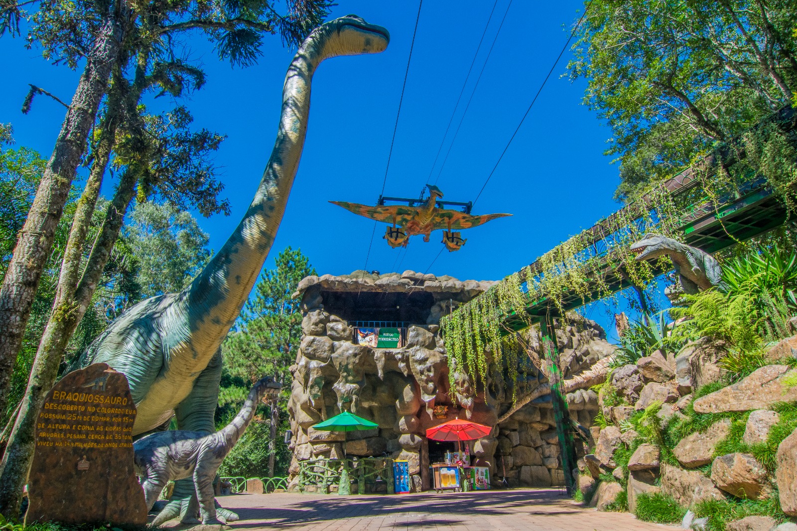 Parque Terra Mágica Florybal, em Canela, reforça tradição solidária no Dia das Mães