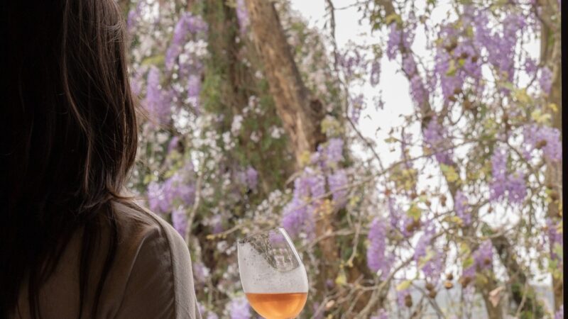 Vinícola Don Giovanni promove jantar especial de Dia dos Namorados com menu harmonizado e experiência romântica na Serra Gaúcha