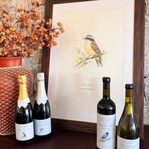 Coleção de aquarelas inspirada na avifauna da Serra Gaúcha chega às taças de vinhos