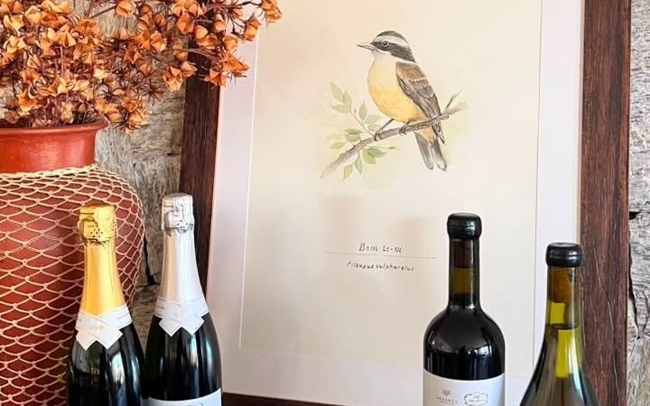 Coleção de aquarelas inspirada na avifauna da Serra Gaúcha chega às taças de vinhos