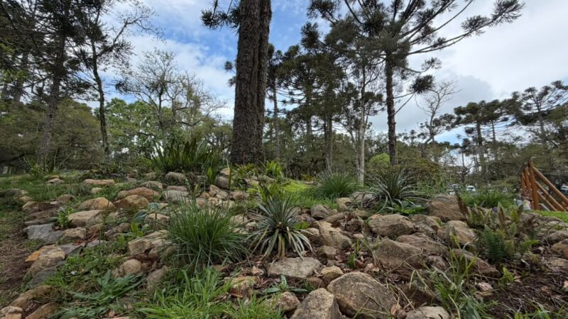 Além da cascata, através do Jardim das Endêmicas, Parque do Caracol guarda duas espécies únicas de bromélias no mundo